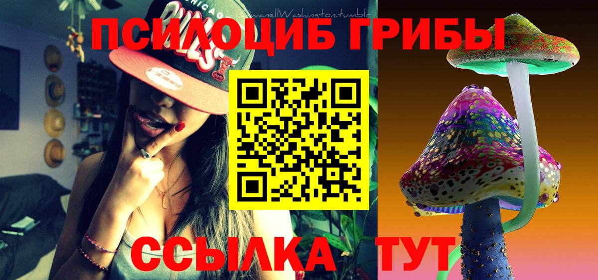 Псилоцибиновые грибы прущие грибы  Вход с VPN  Рассказово 